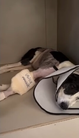 Murta before her surgery