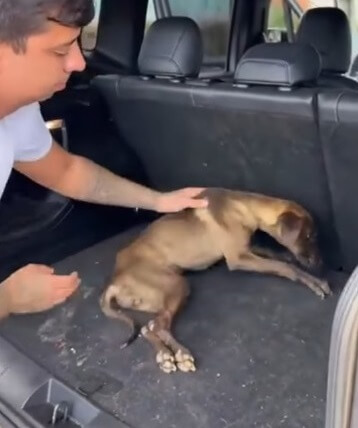 She was taken to the vet clinic