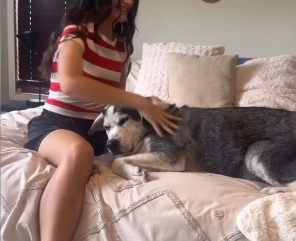 Bruno adapting to new family