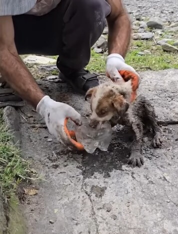 He was offered water immediately