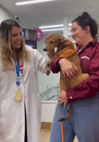 Maru at the vet clinic