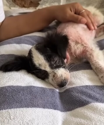 Recovering after her treatment