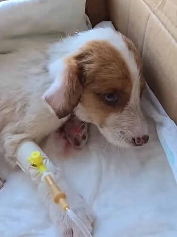 Recovering and healing