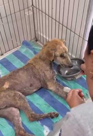 Recovering and healing