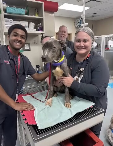 Fern before leaving the ICU