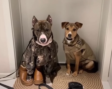 Lucky thriving today