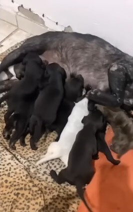 They all are thriving