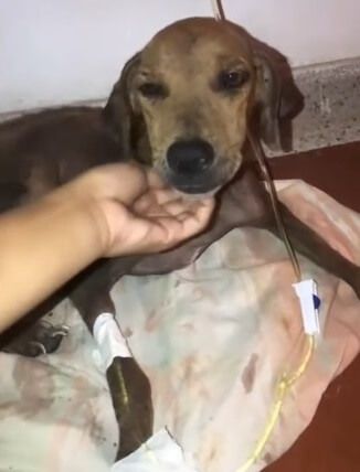 Cienaga getting her treatment done