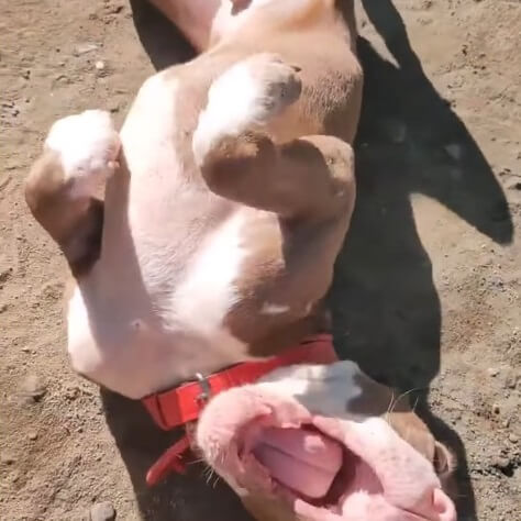 Pablo after seeing the sunlight