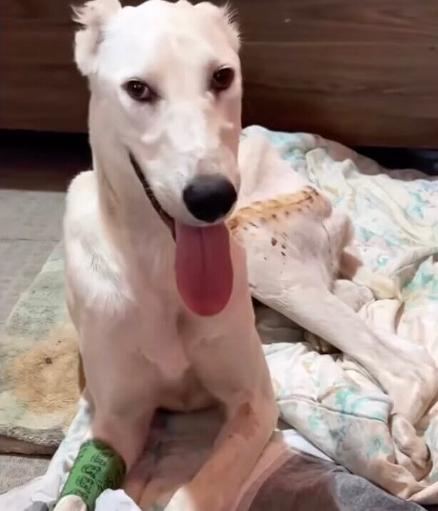 Air lifting his head more often