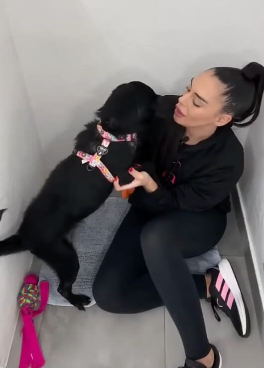 Lupinho with the rescuer