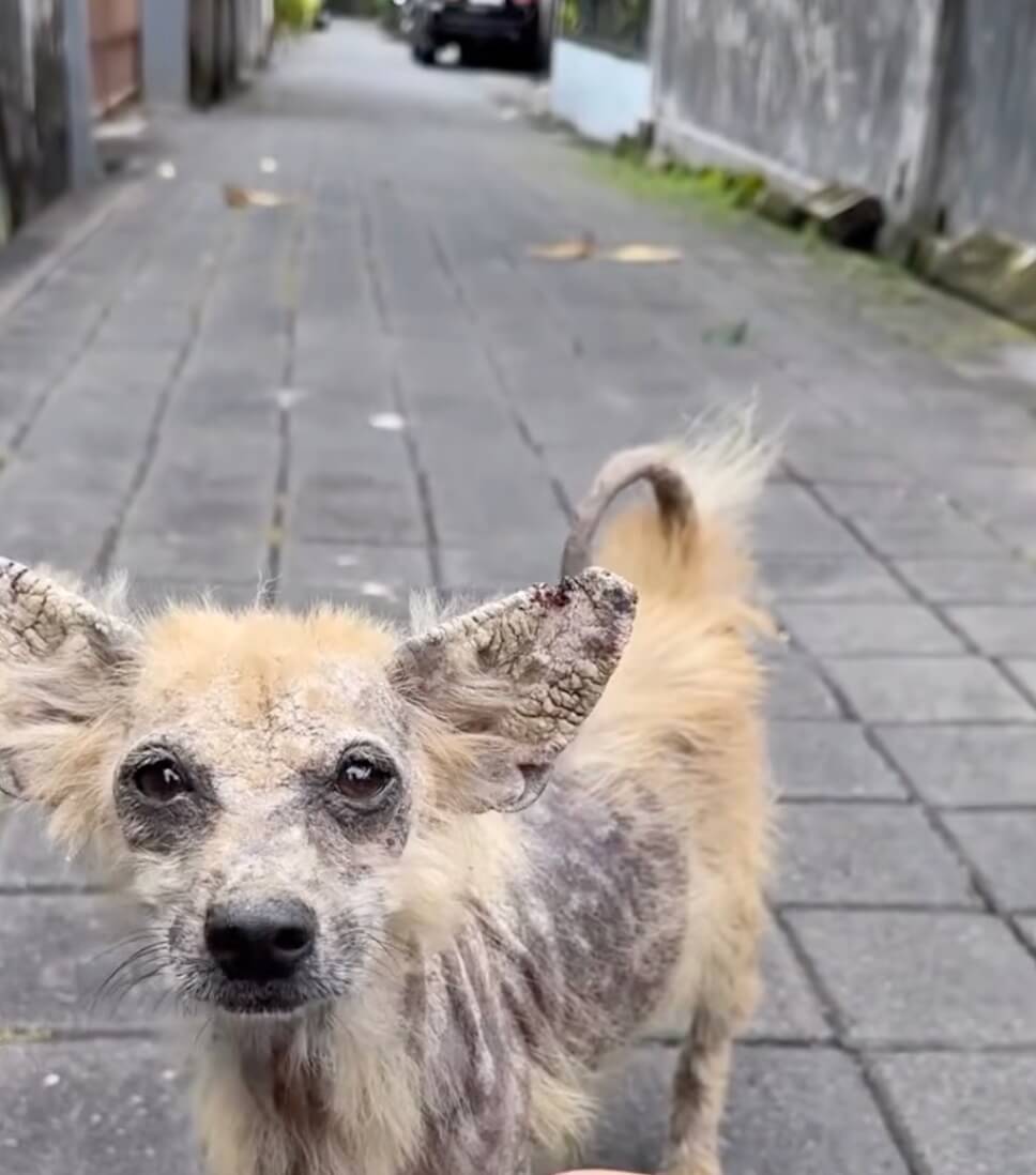 Her condition initially