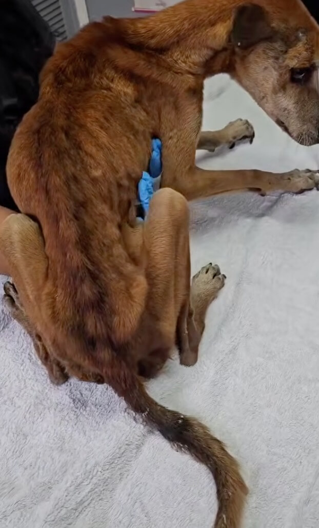 Niel getting his treatment done