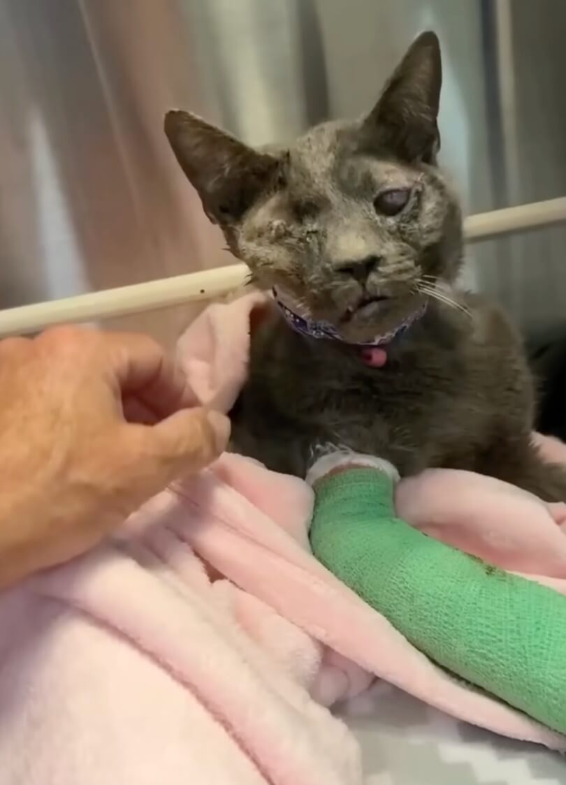 Bianca at the vet clinic