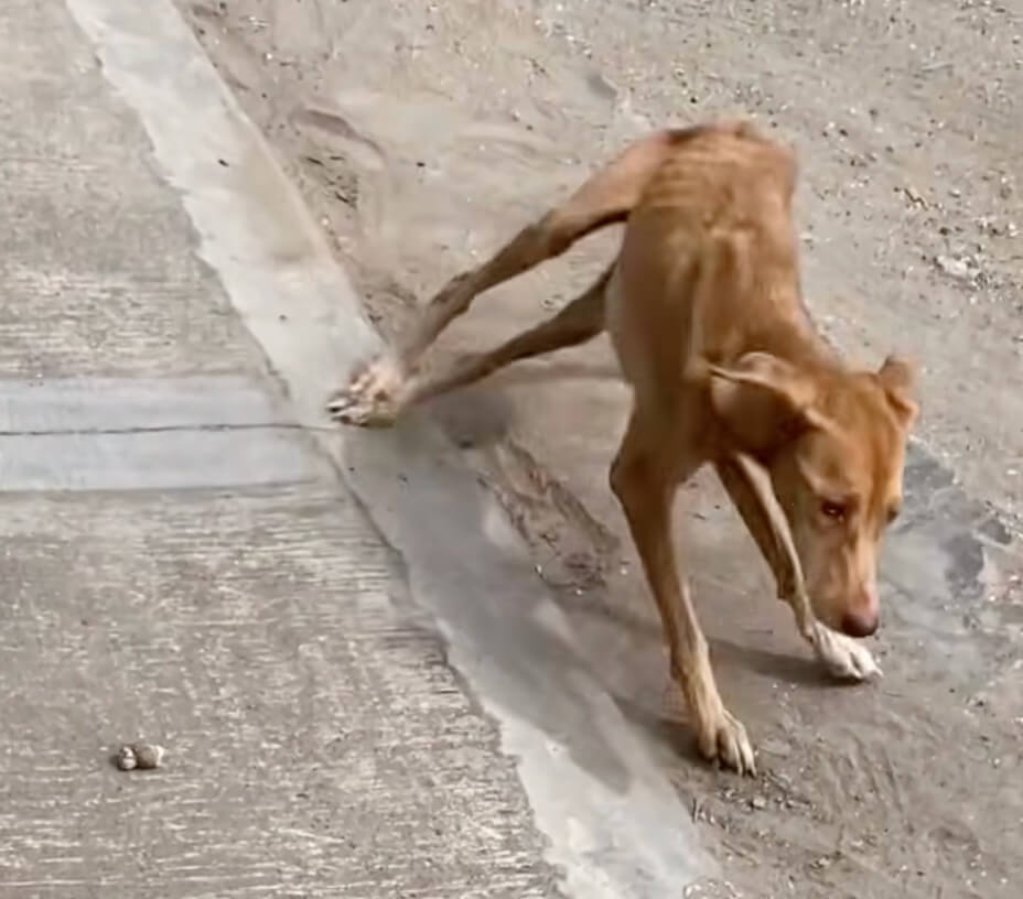 Blair's condition initially