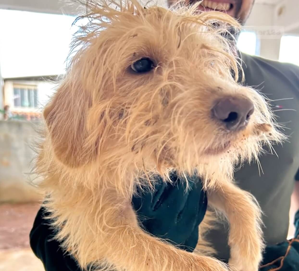 Catarina finally got caught