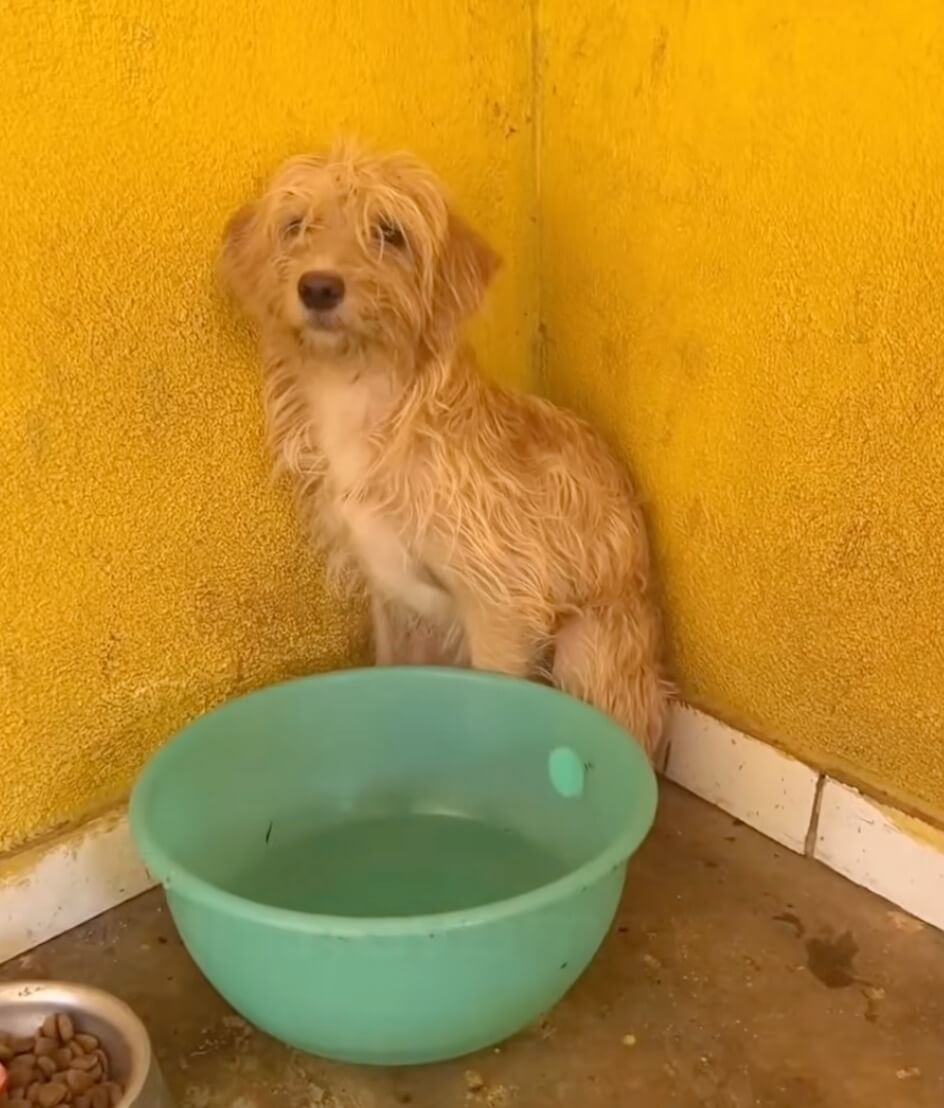Catarina in the shelter