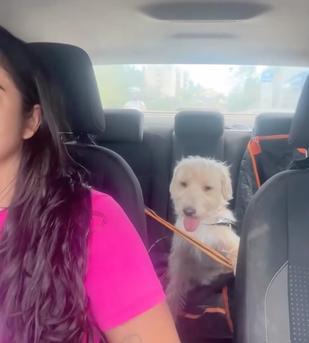 Catarina on her way to her new home