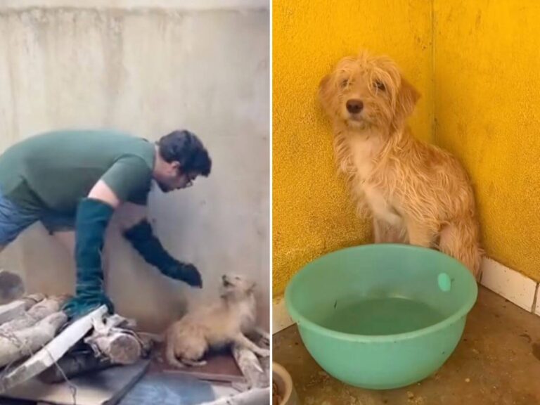 Catarina rescue story