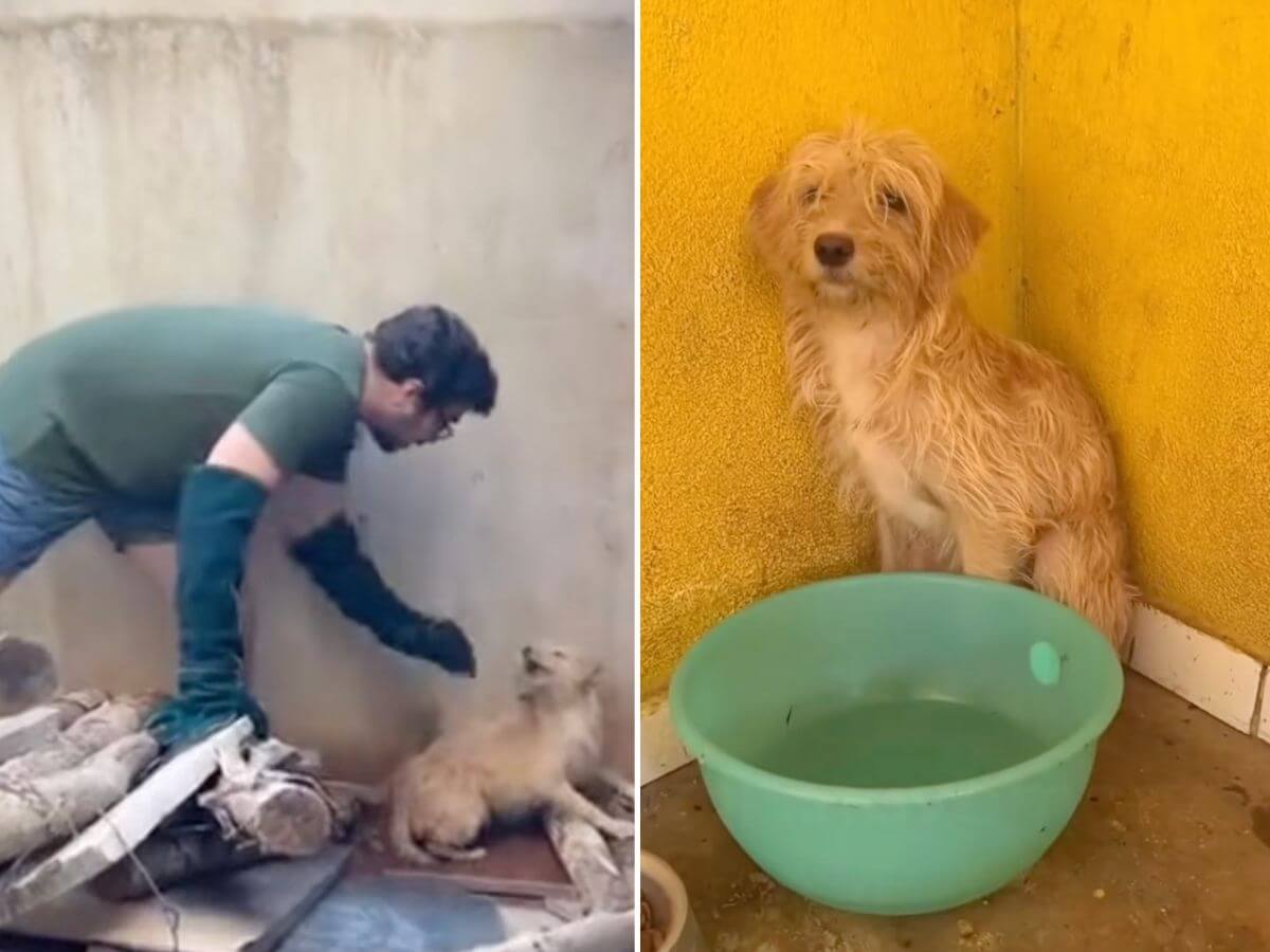 Catarina rescue story