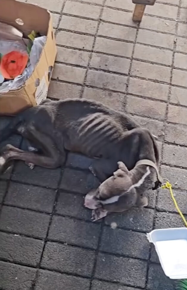 Her condition initially