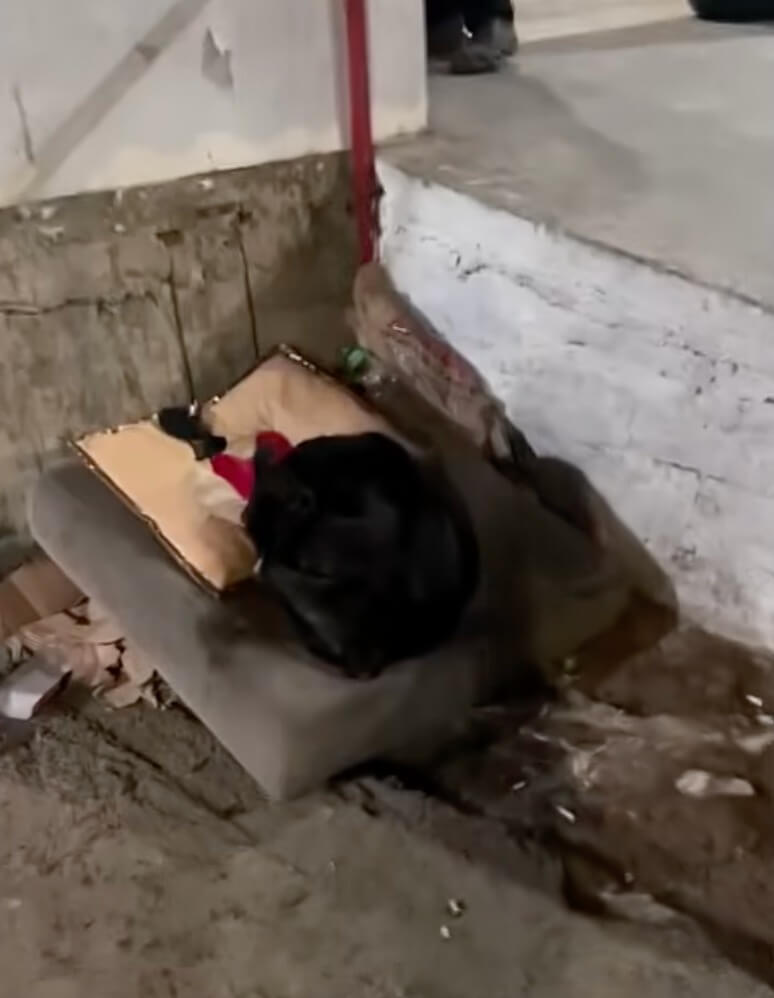 How Isabela was found