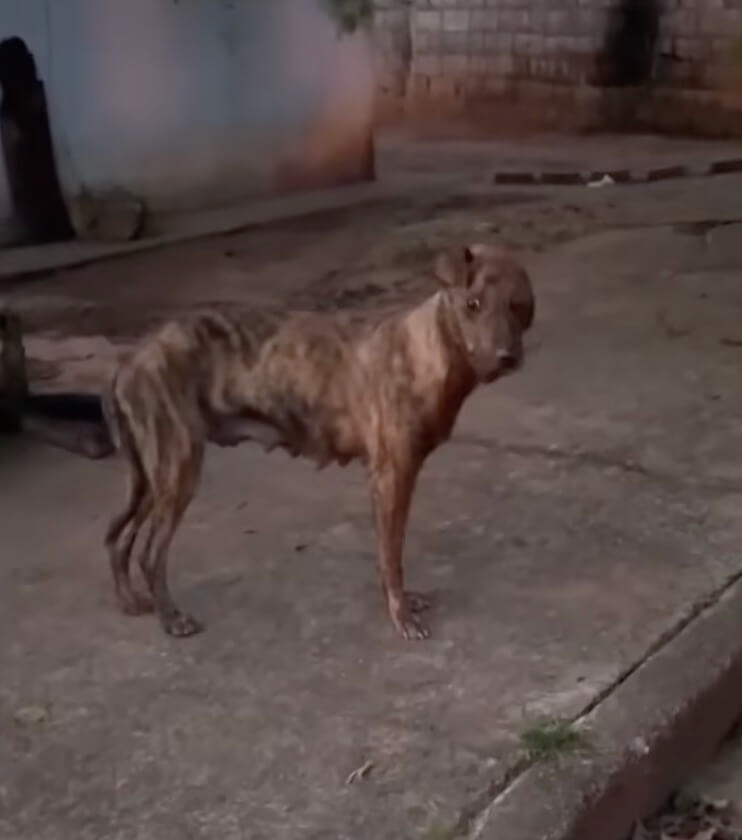 How Solange was found