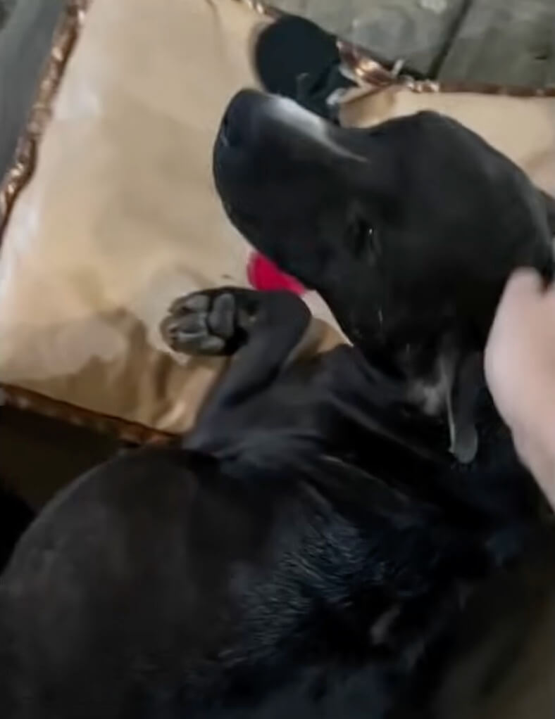 Isabela's condition initially