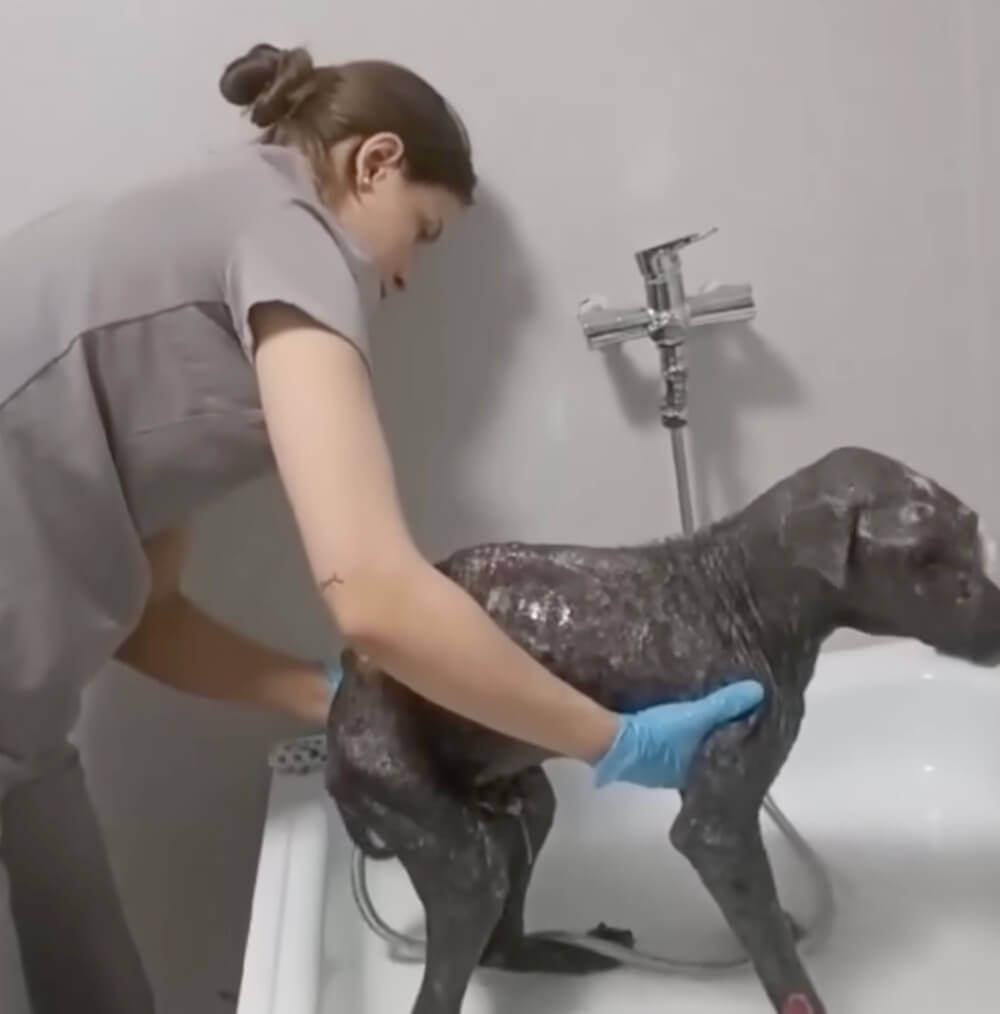 Krouch getting his treatments