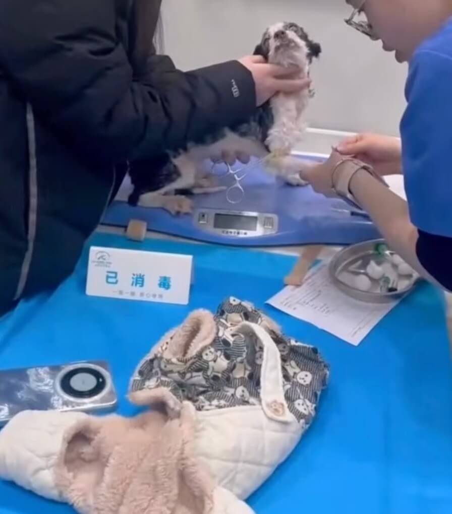 Marty at the vet clinic