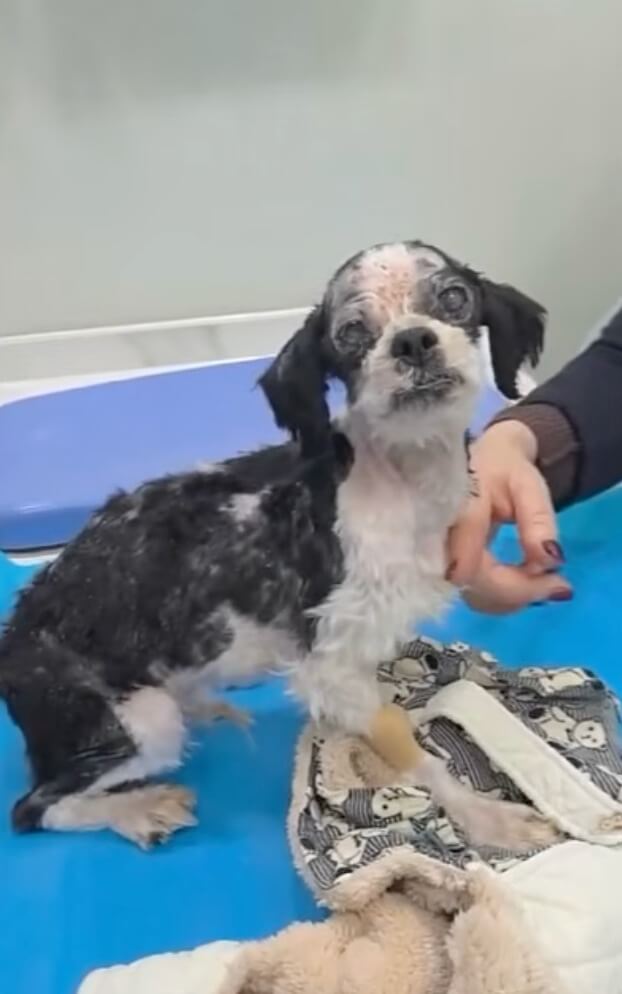 Marty getting her treatments done