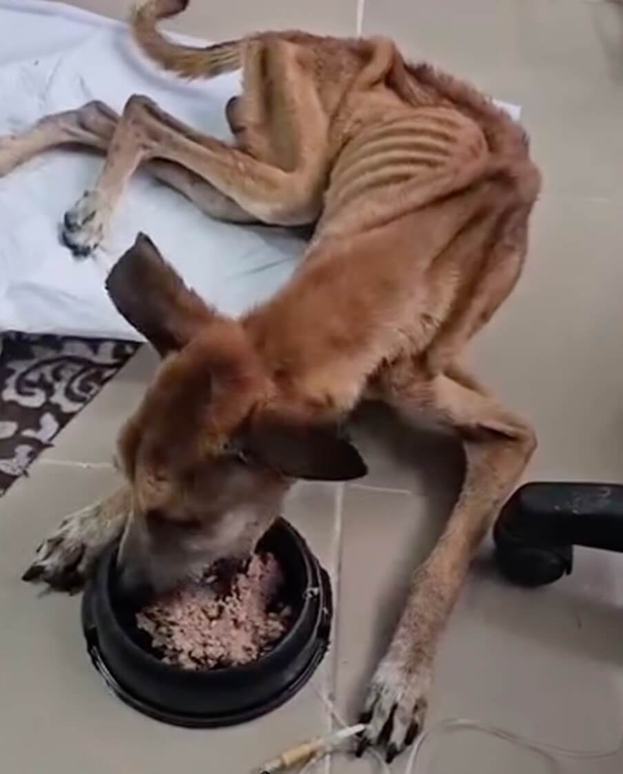 Niel eating on his own