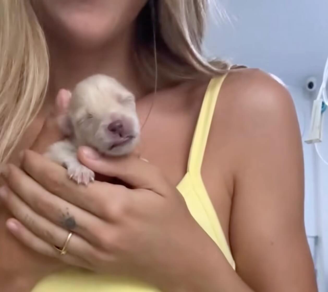 Only 1 puppy made it