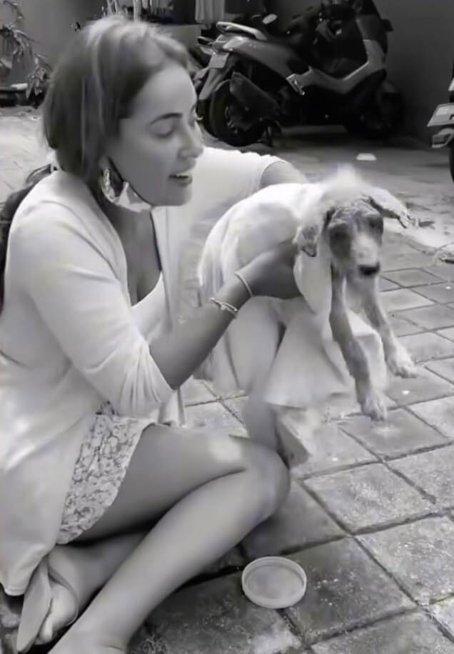 Rescuer taking him to the vet clinic