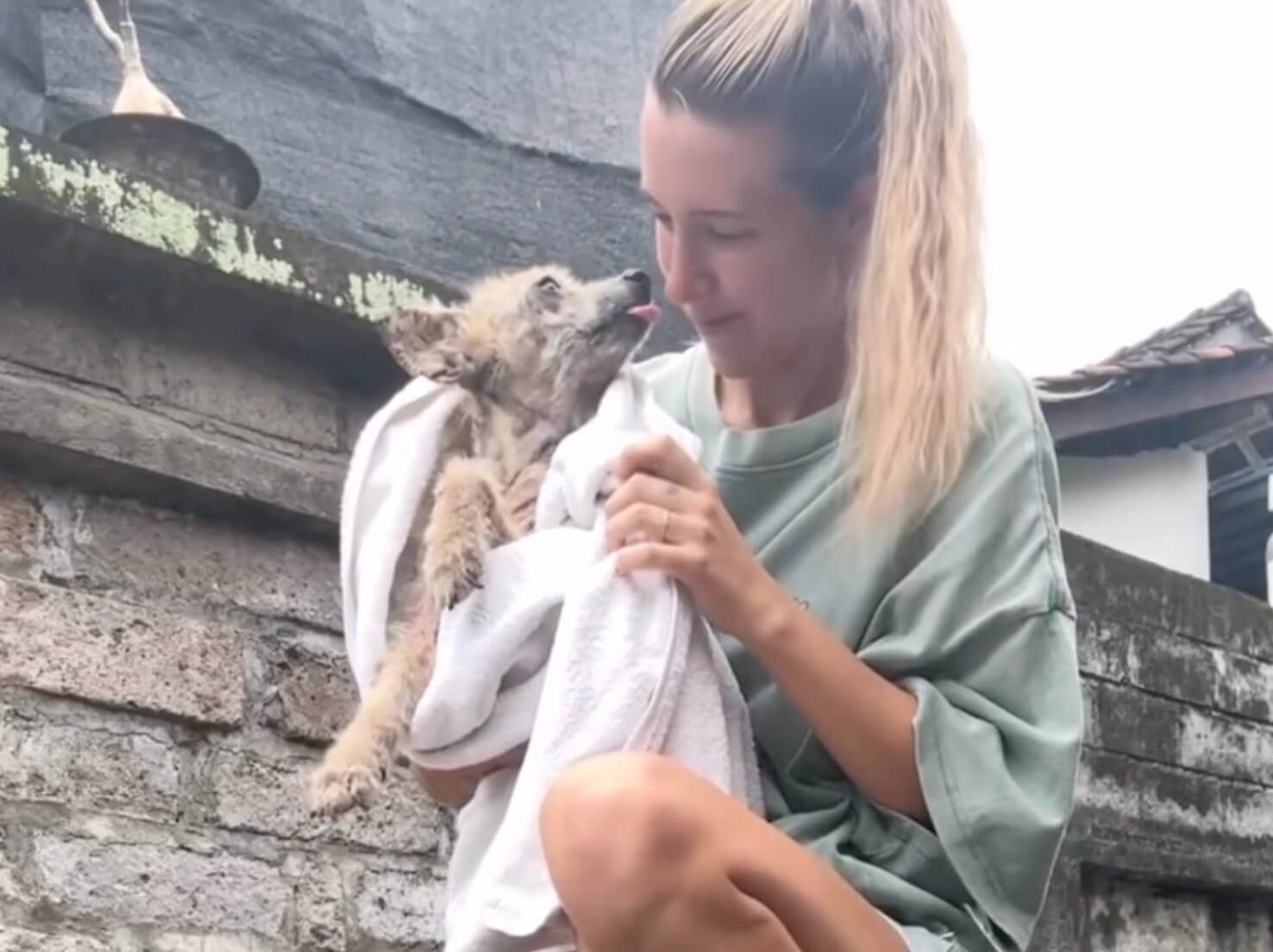 Rescuer taking her to the vet clinic