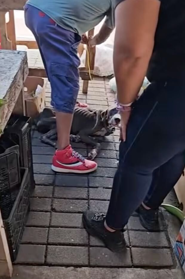 Rescuers approaching her