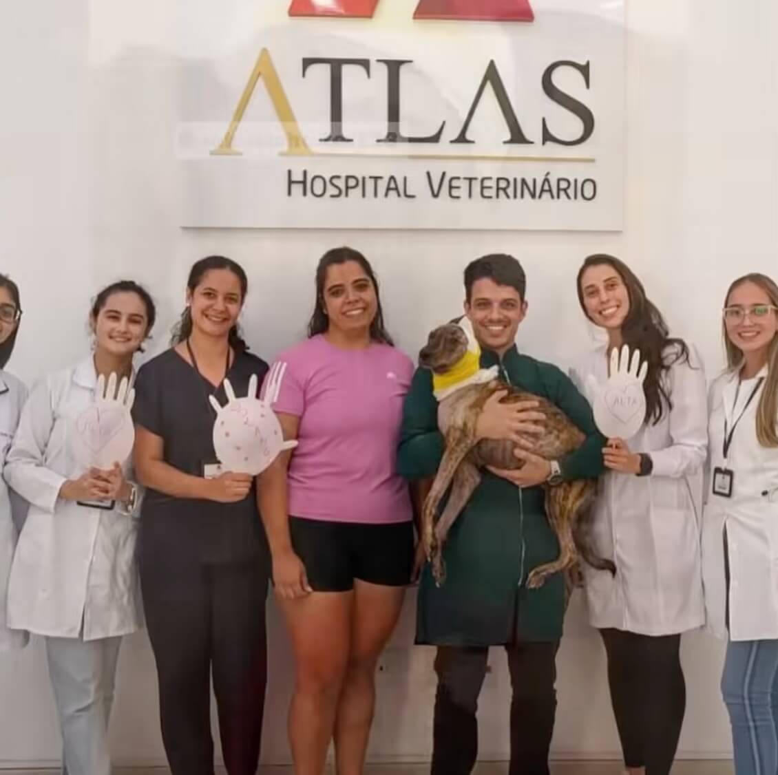 Solange after her successful surgery