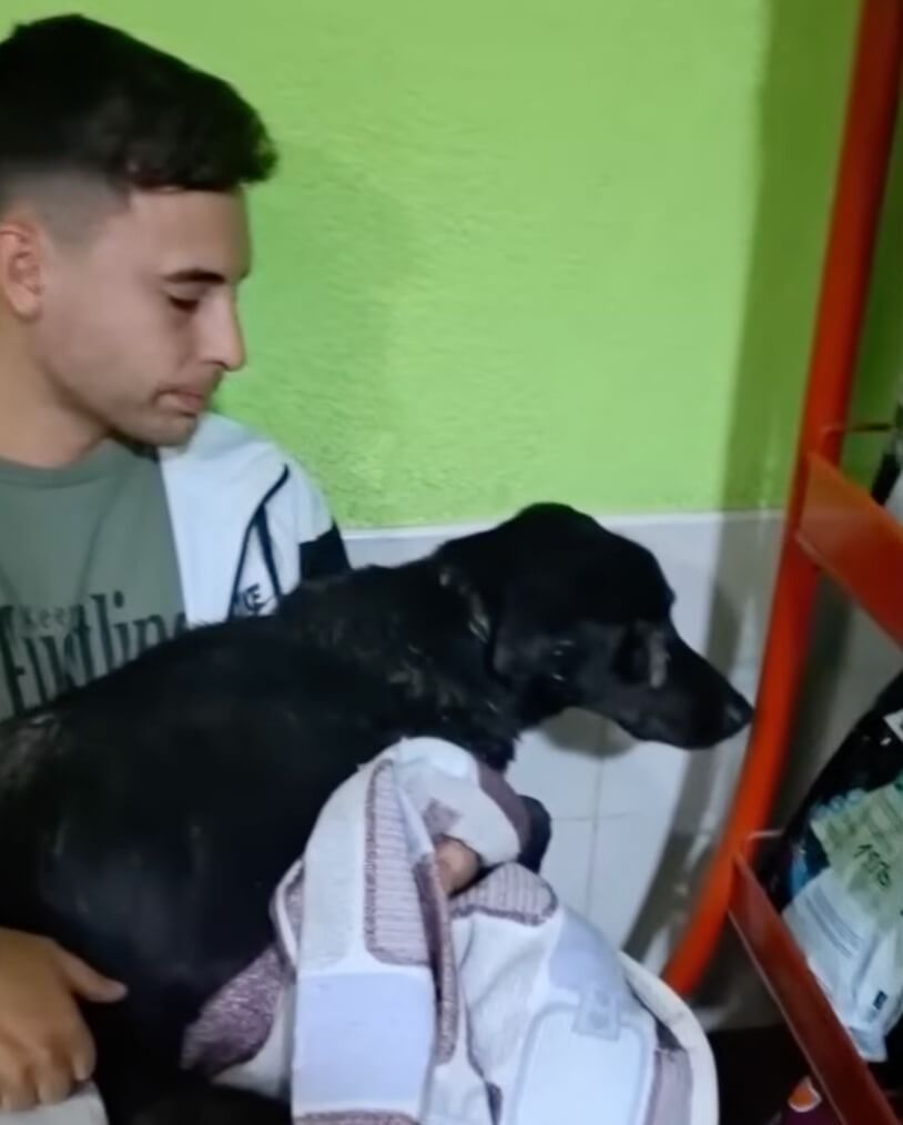 Sombra at the vet clinic