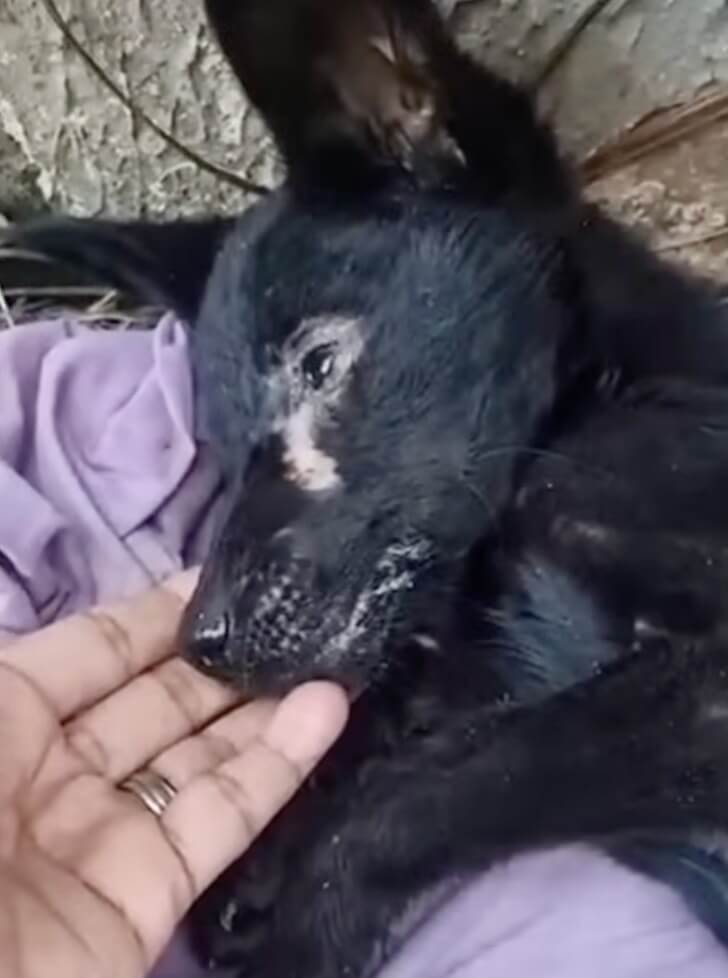 How Milagre was found