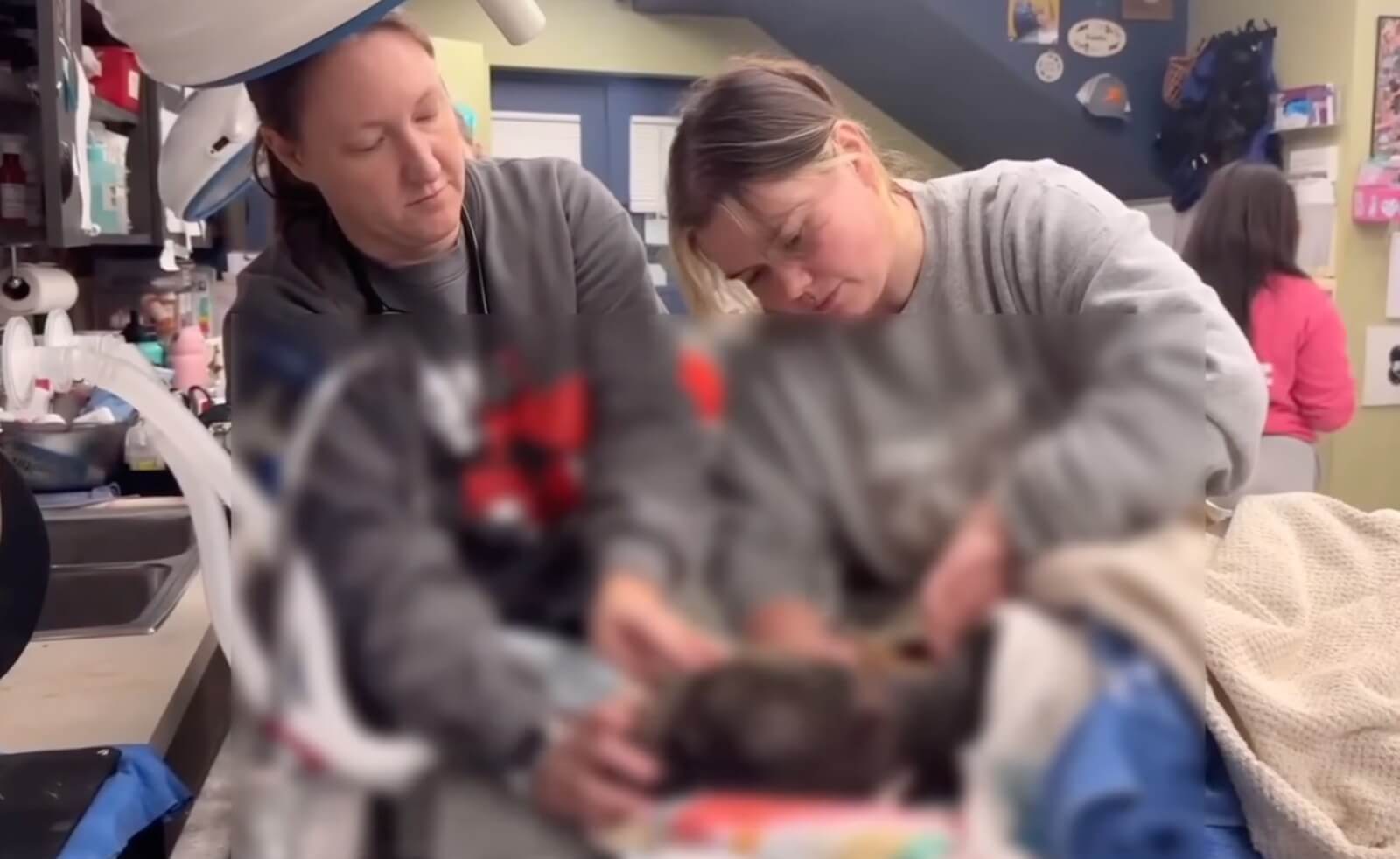 Creme Brulee at the vet clinic