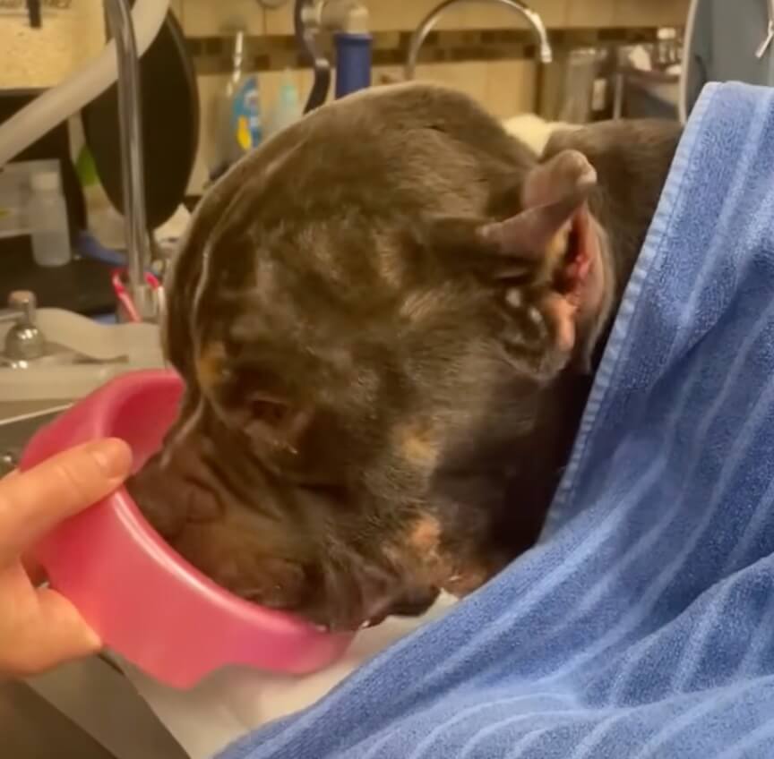 Creme Brulee showing hope