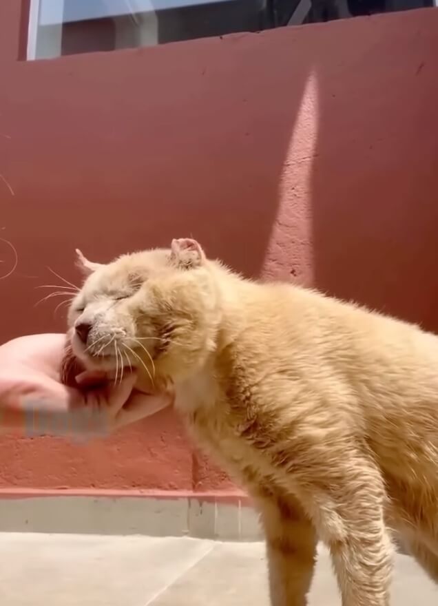 Eliseu after 500 days