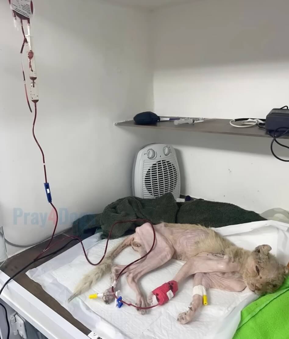 Eliseu at the clinic