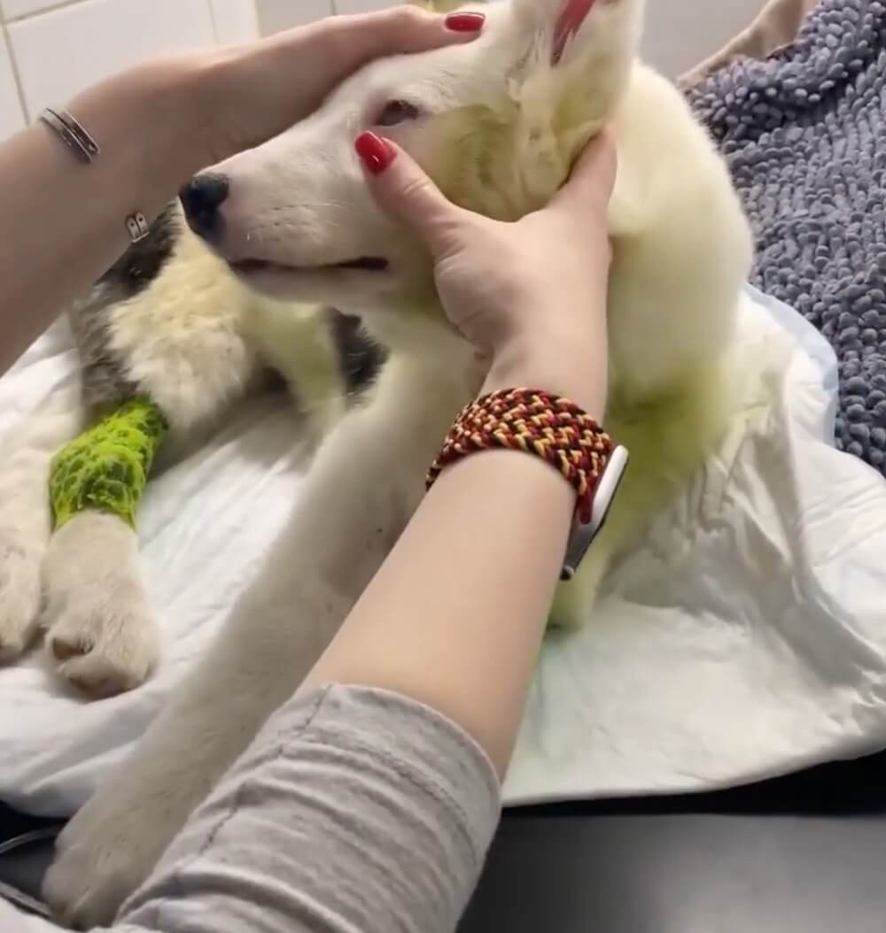 Eva getting her treatment done