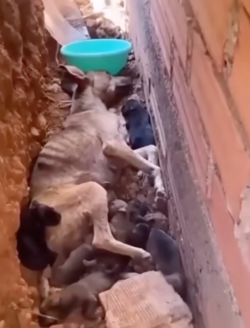 How Isadora was found