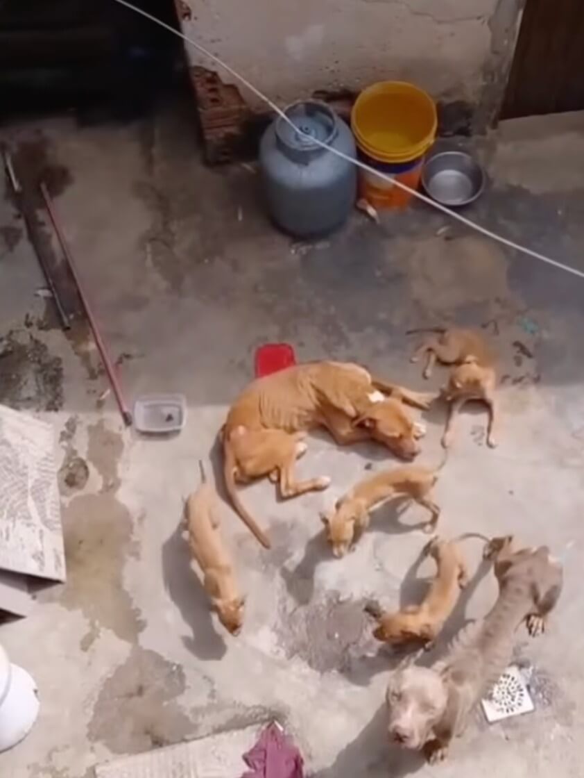 How they were first seen