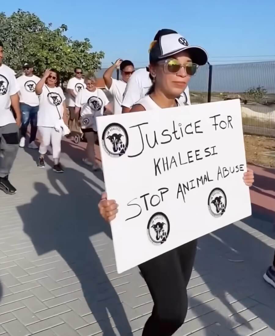 Khaleesi story touched millions