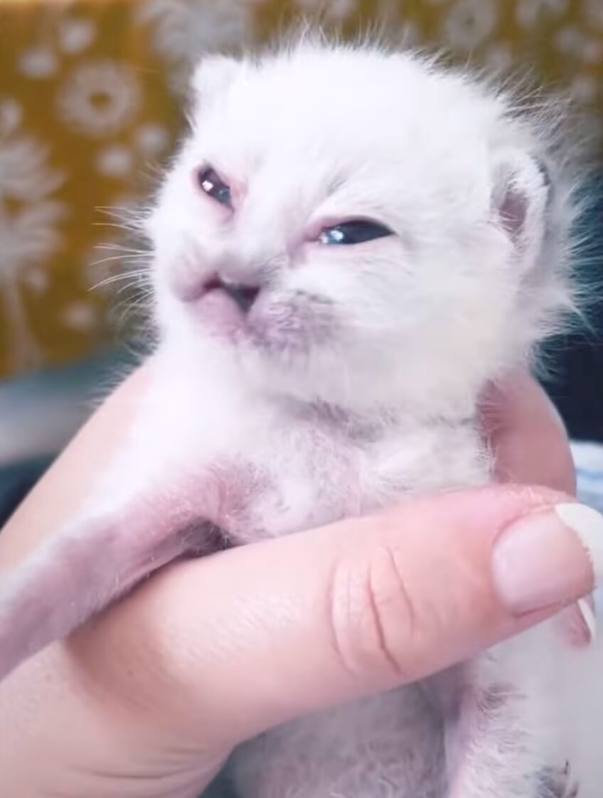 Lennon before saying the final goodbye