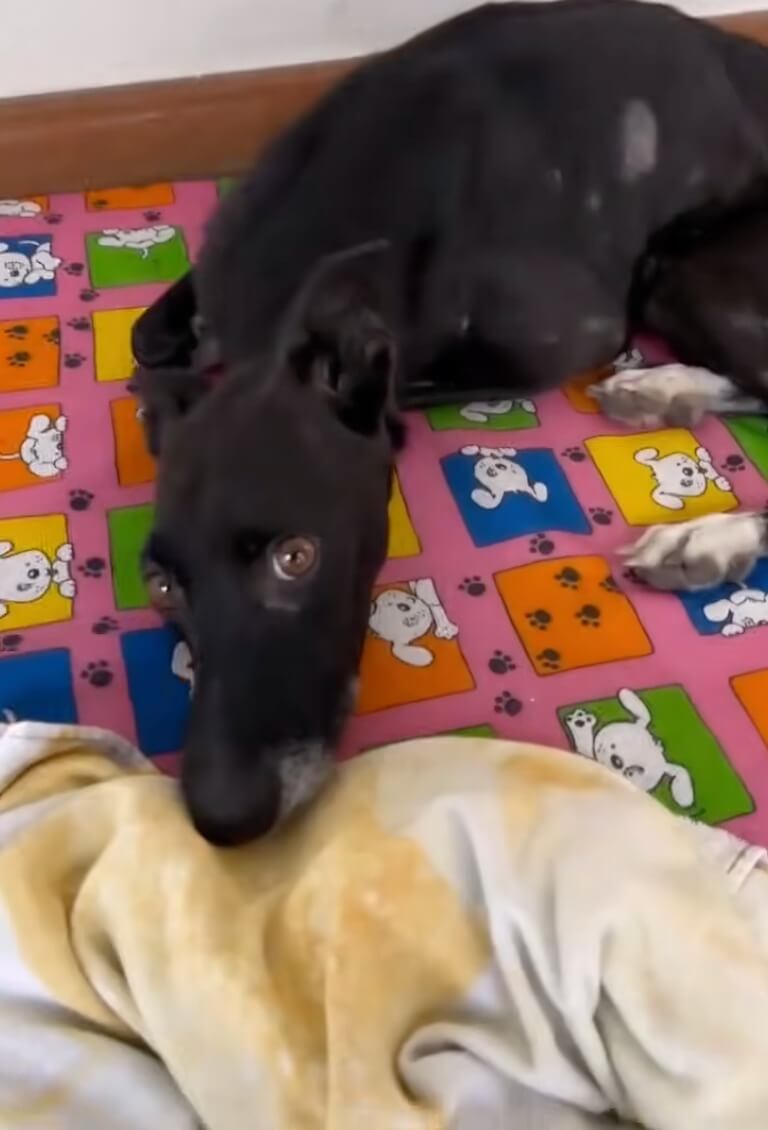 Lisa in Erica's home