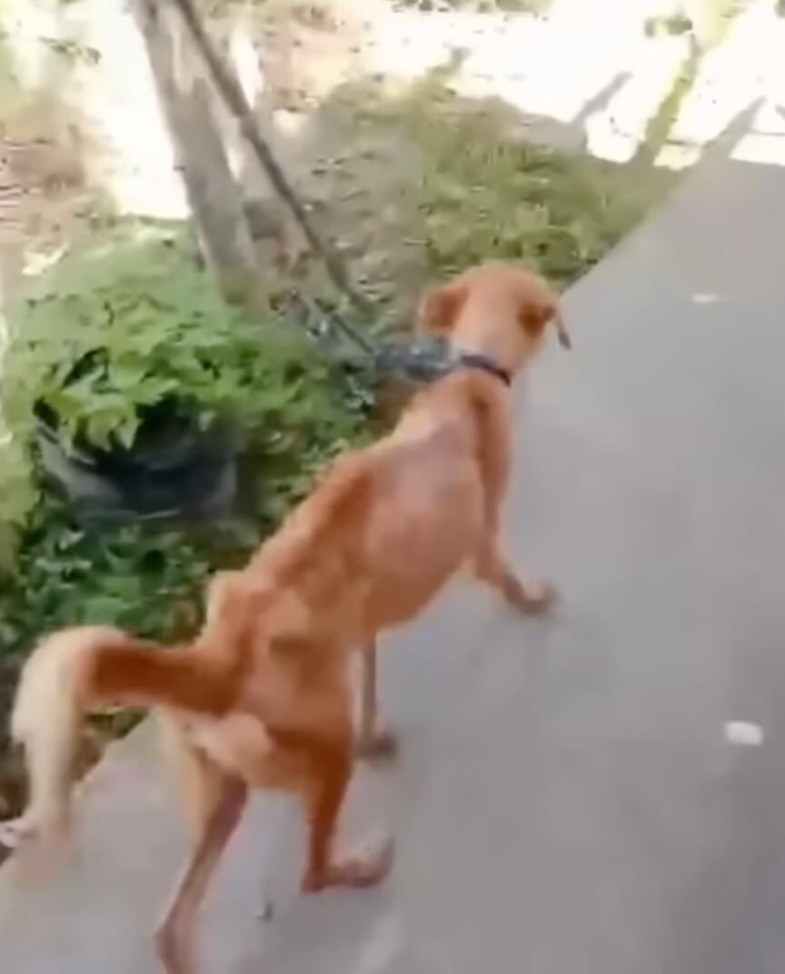 Maddie healing today